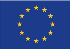 EU flag - People